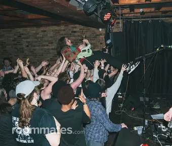 Roommate looking Warren, MI, $700