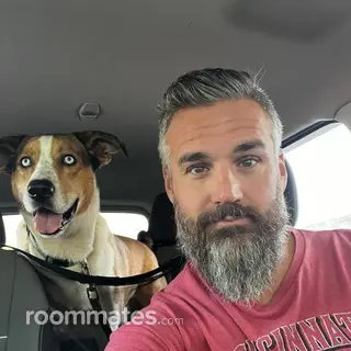 Roommate looking Navarre FL, $800