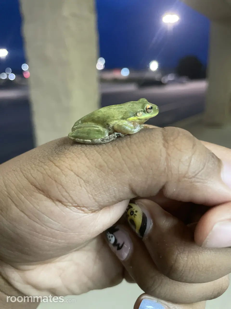 Profile photo 4 of 7