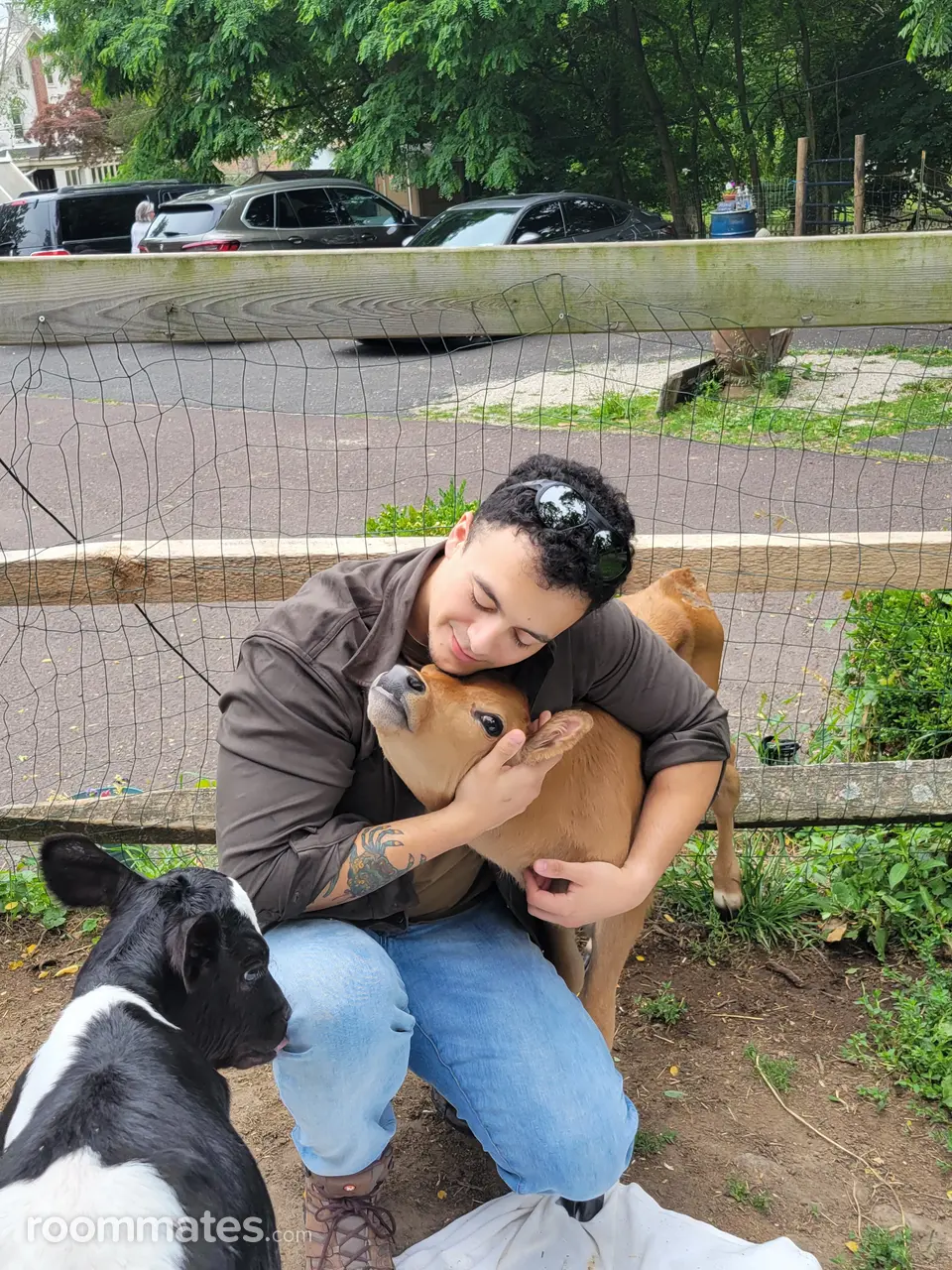 Profile photo 1 of 1