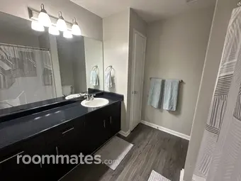 Room for rent in Carrboro, NC $647, apartment