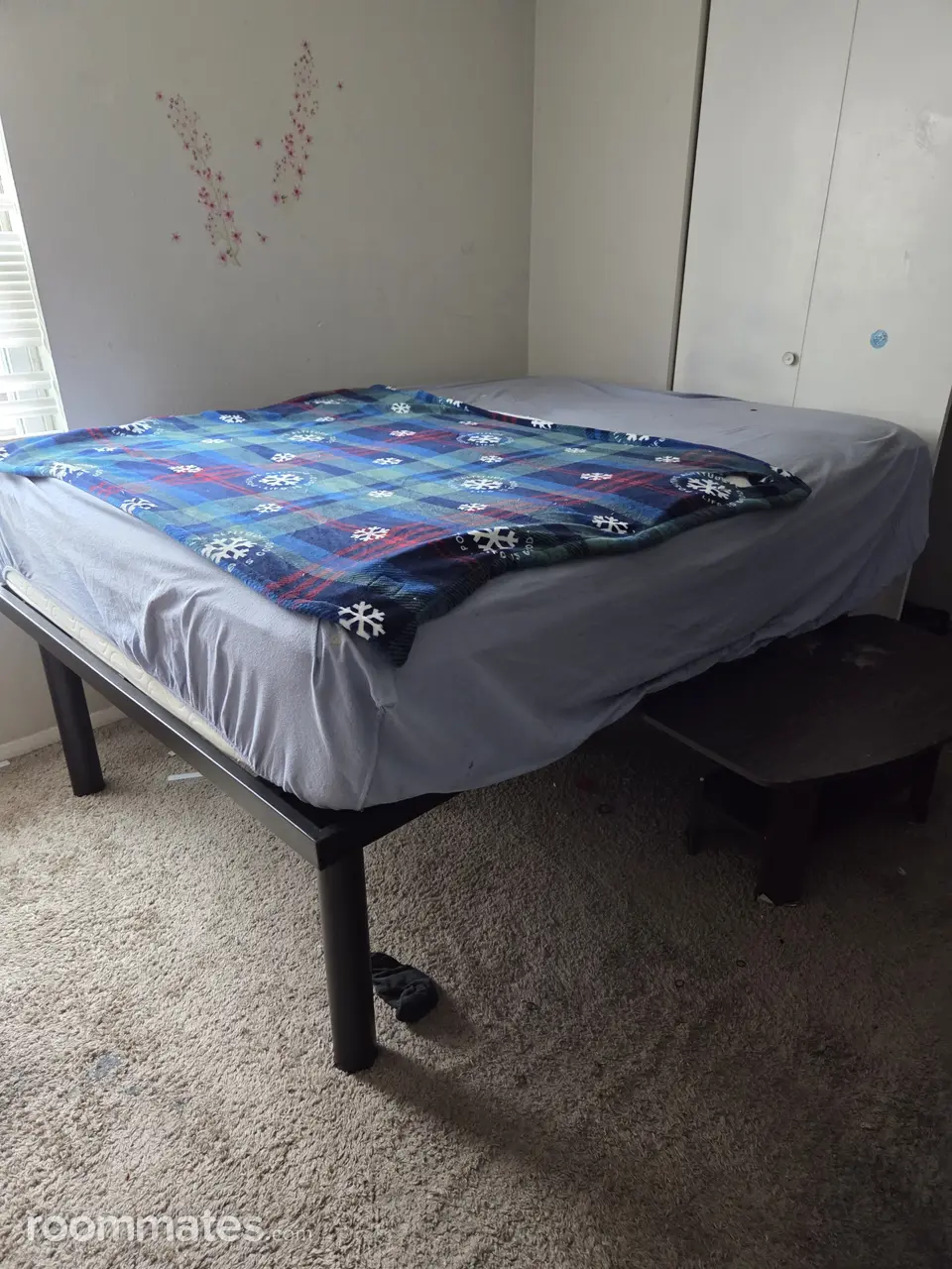 Profile photo 5 of 7