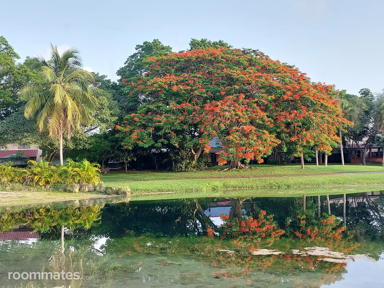 Profile photo 6 of 9