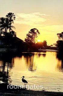 Roommate looking Fort Worth, TX, $1000