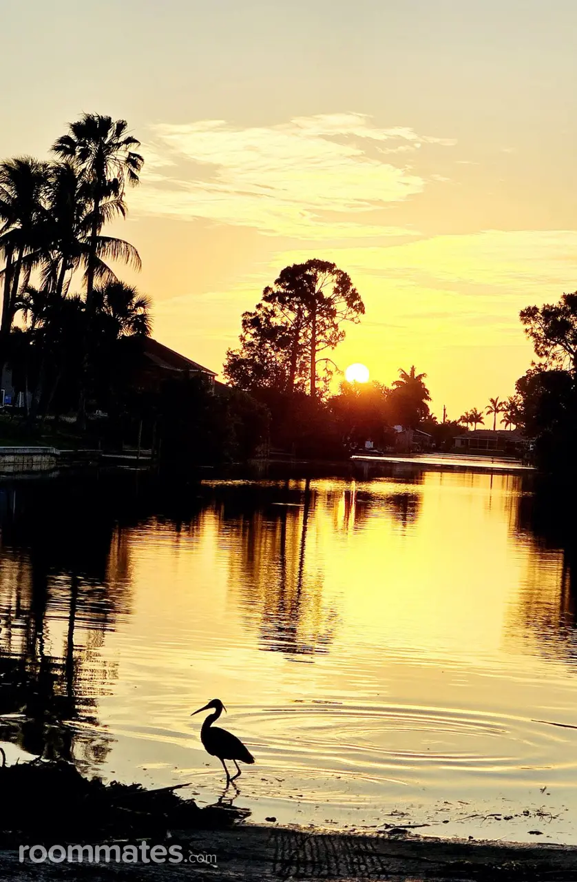 Profile photo 1 of 1