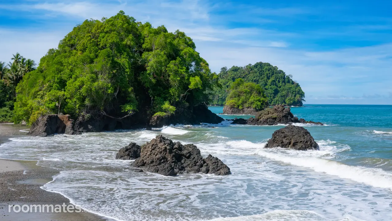 Profile photo 1 of 1