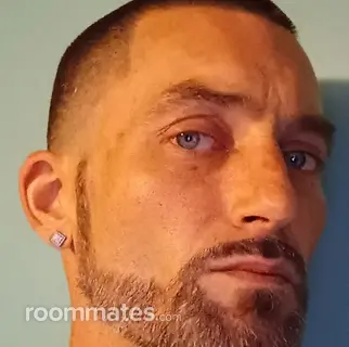 Roommate looking Loves Park, IL, $700