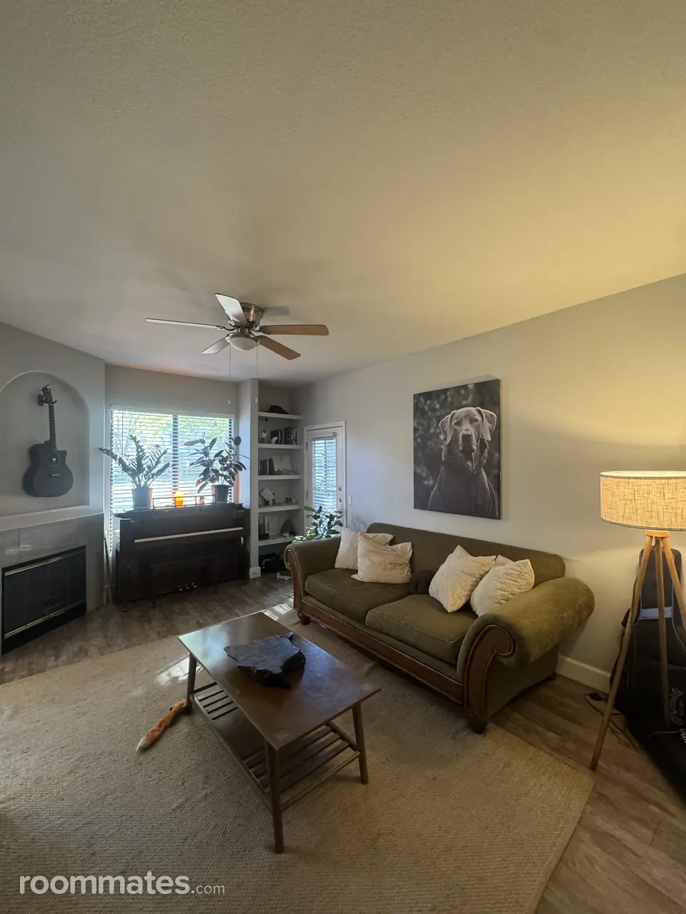 Profile photo 5 of 11