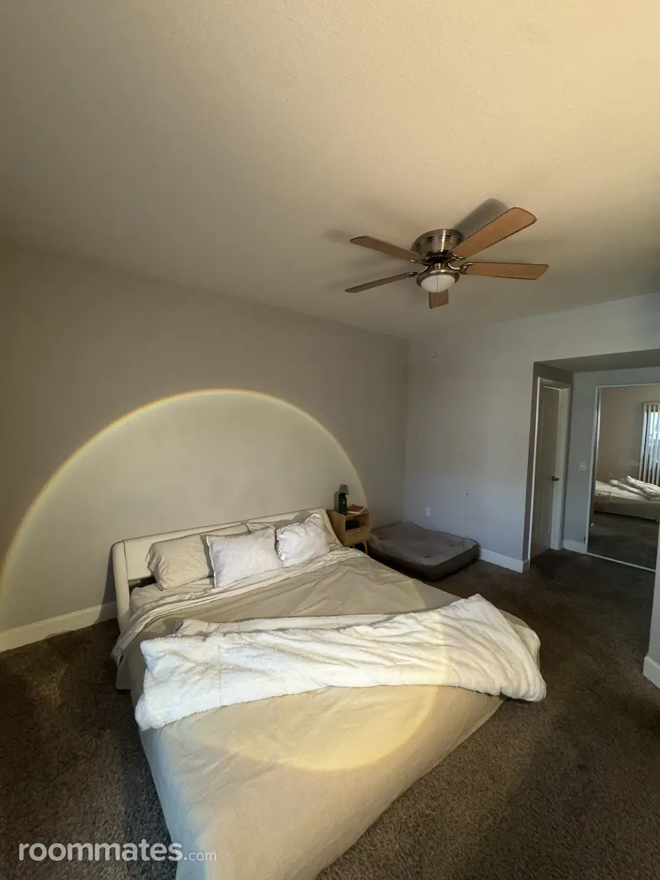 Profile photo 7 of 11