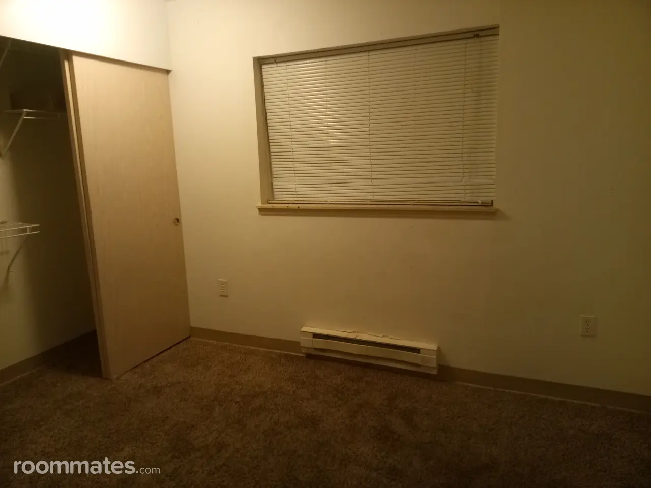 Profile photo 2 of 11