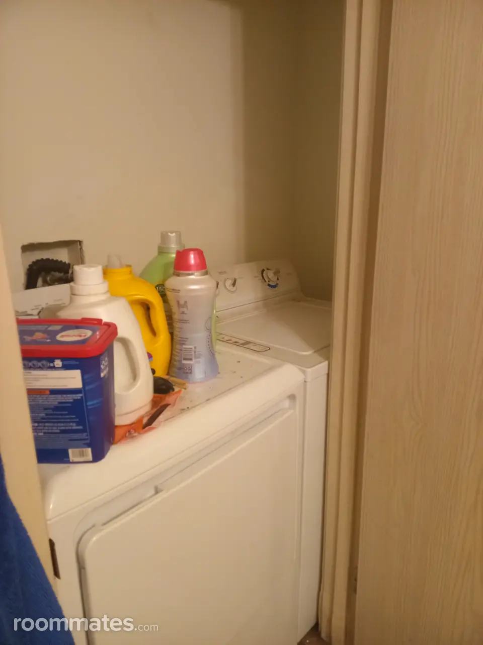 Profile photo 7 of 11