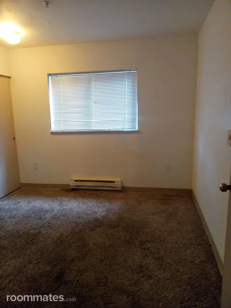 Profile photo 1 of 11