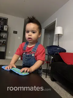 Roommate looking Memphis, TN, $1000