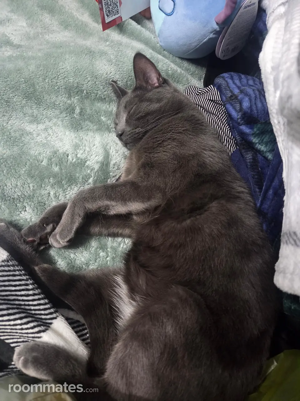 Profile photo 3 of 4