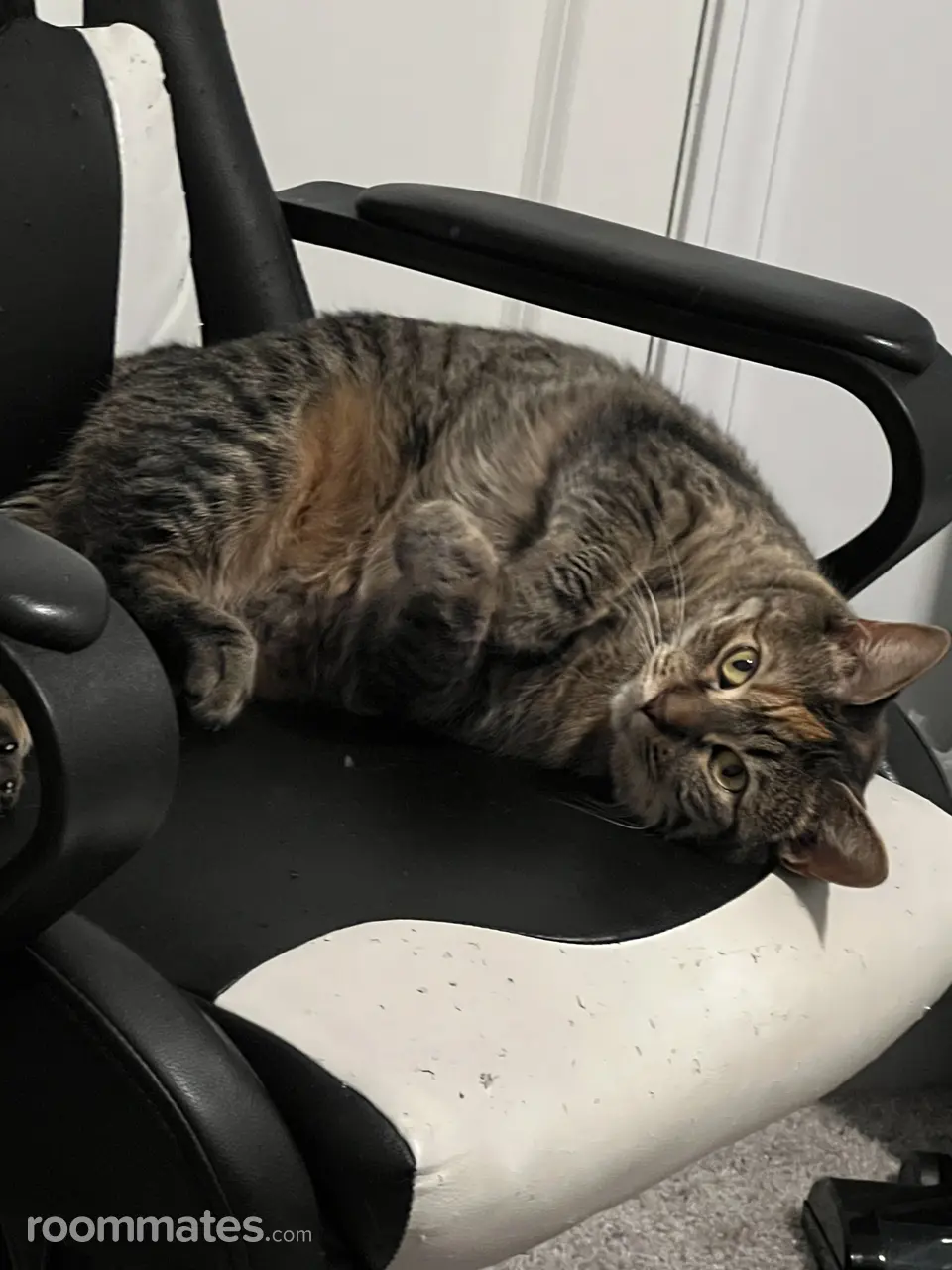 Profile photo 4 of 4