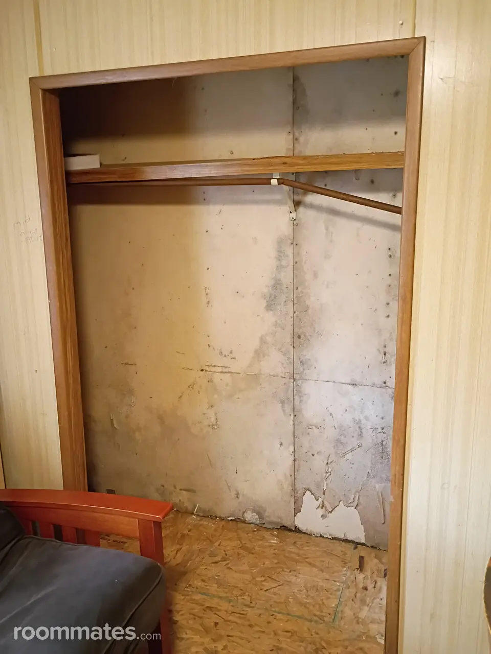 Profile photo 9 of 13