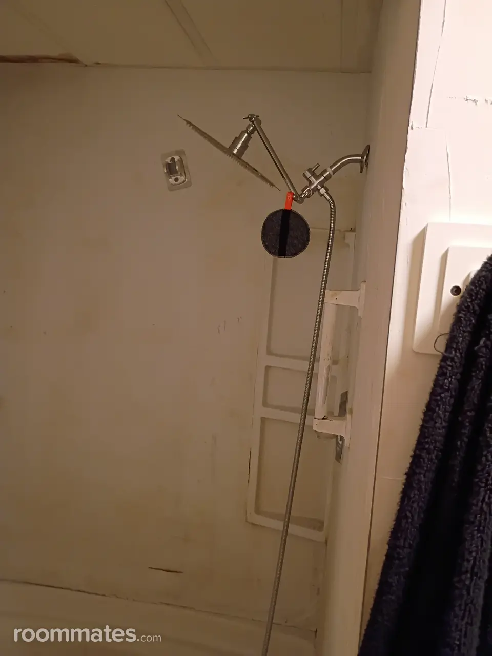 Profile photo 4 of 13