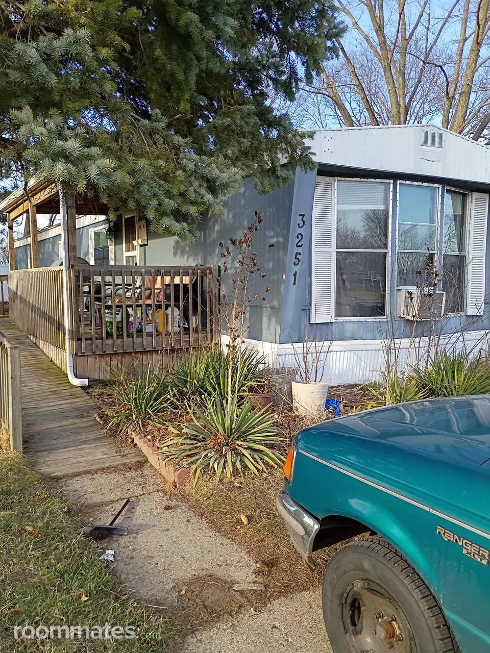 Profile photo 2 of 13