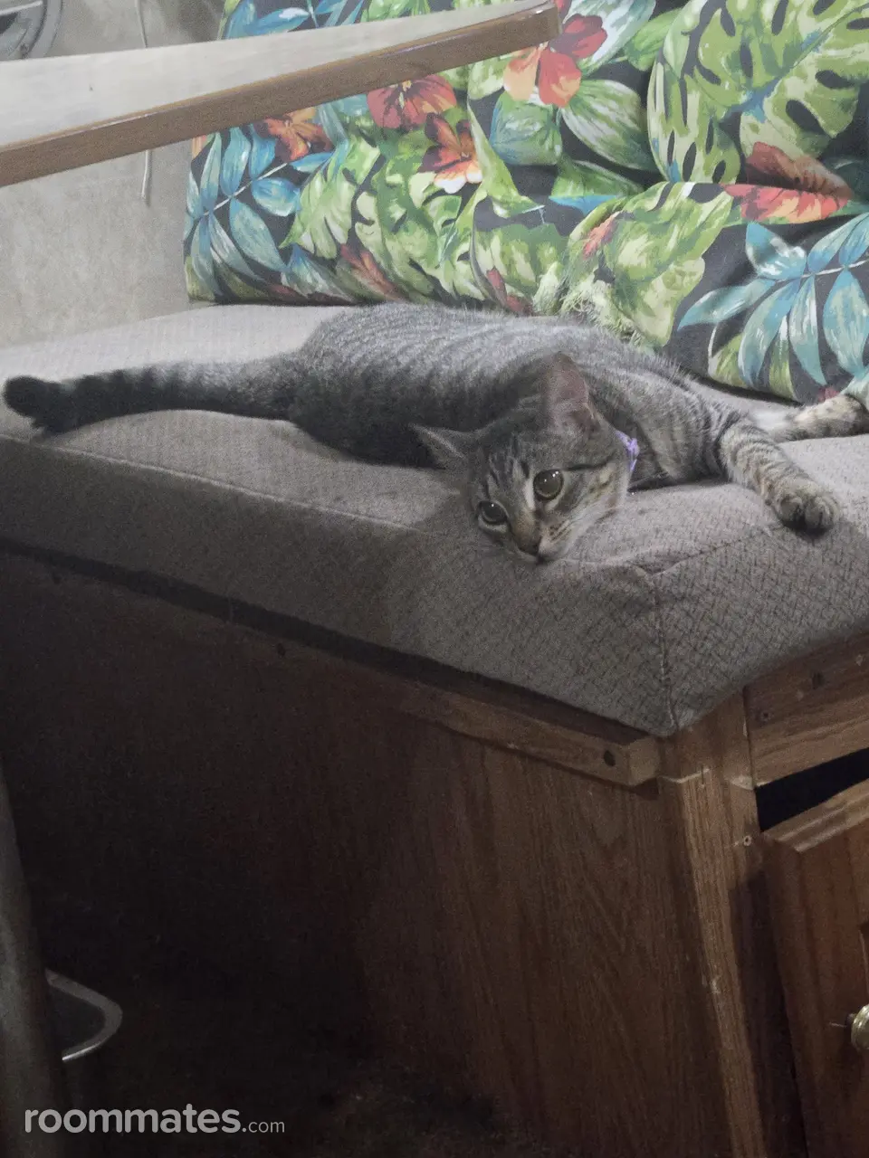 Profile photo 11 of 11