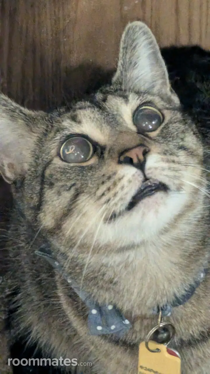 Profile photo 3 of 11