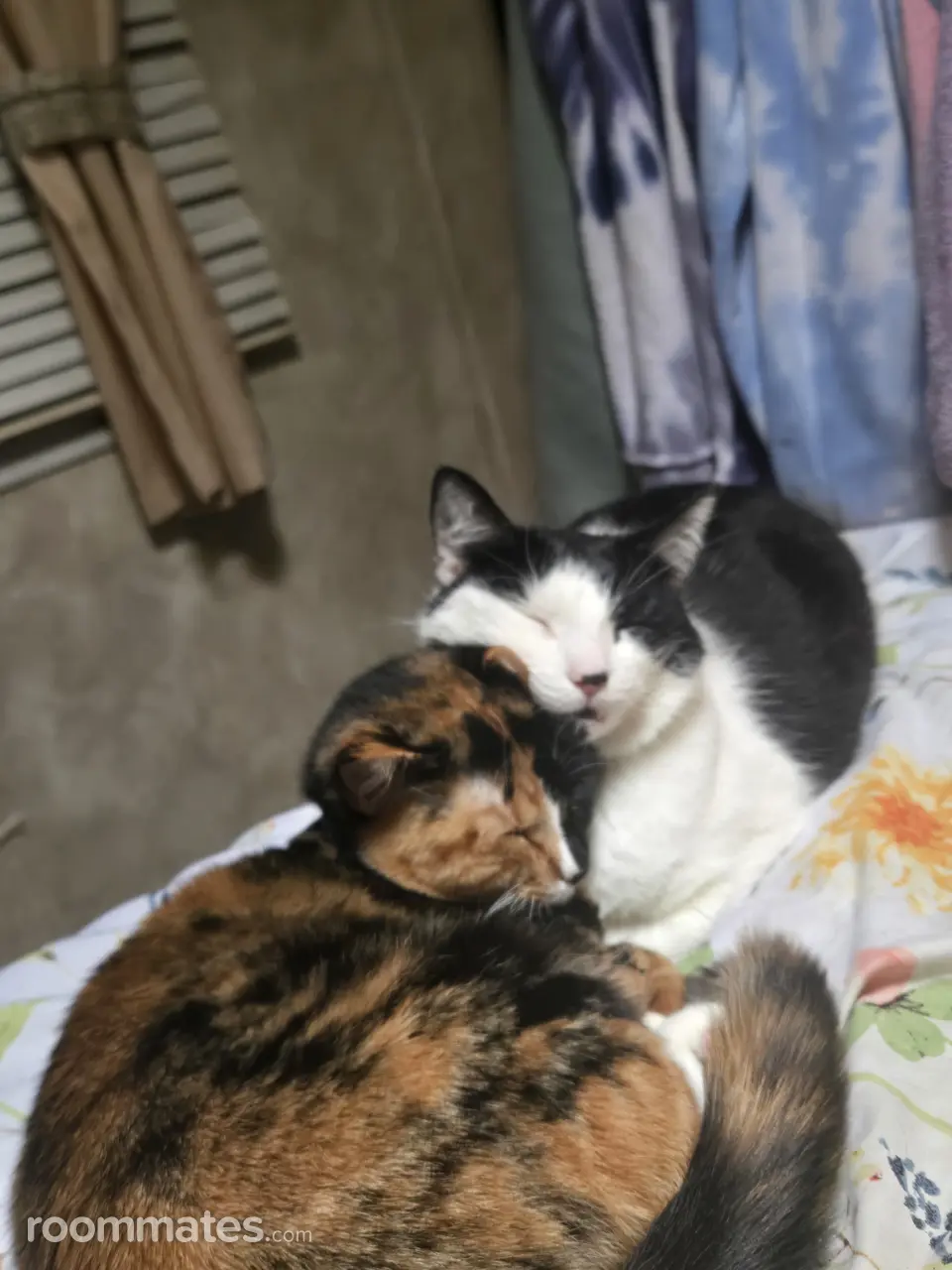 Profile photo 10 of 11