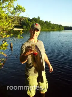 Roommate looking Waltham, MA, $1500