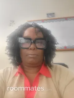 Roommate looking Detroit, MI, $600