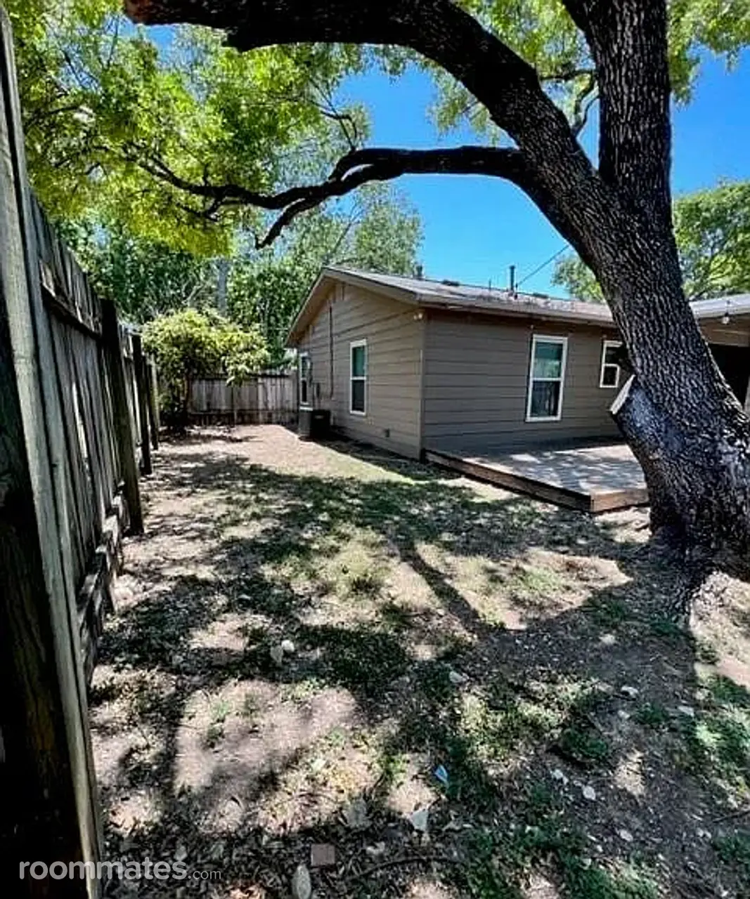 Profile photo 8 of 9