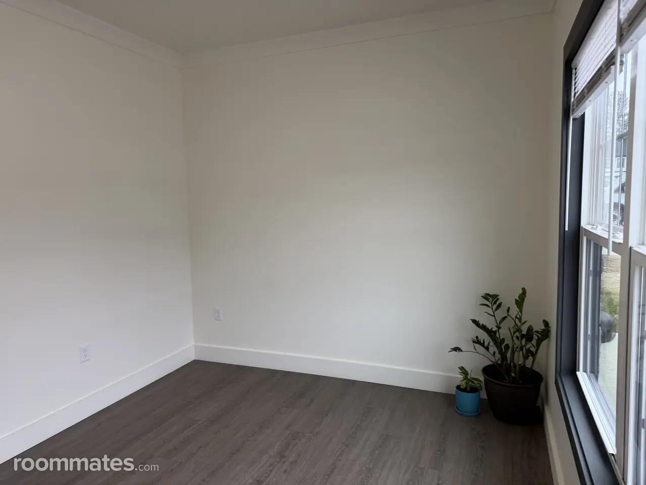 Profile photo 4 of 11