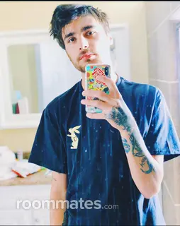 Roommate looking Sacramento, CA, $900