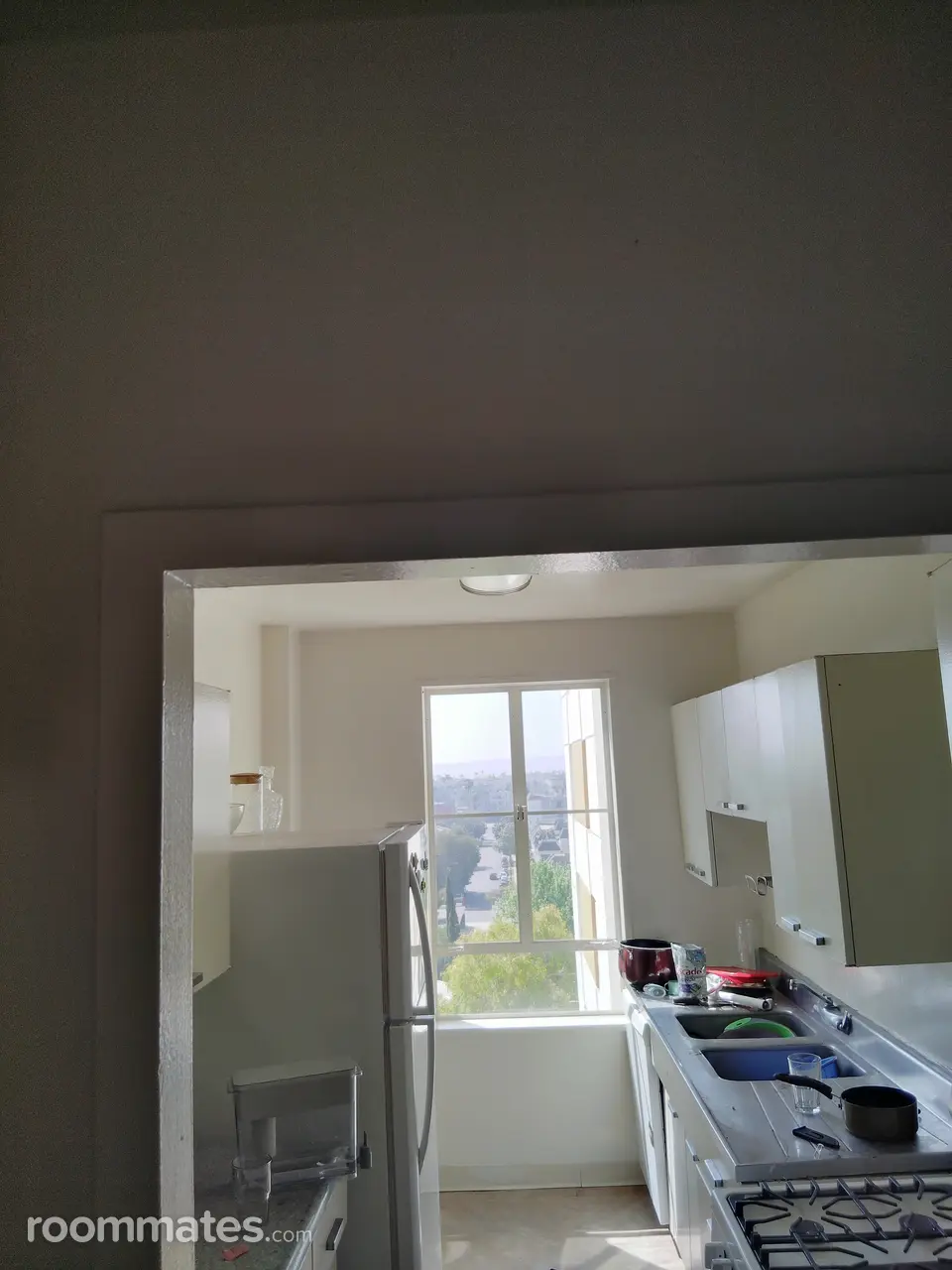 Profile photo 4 of 17