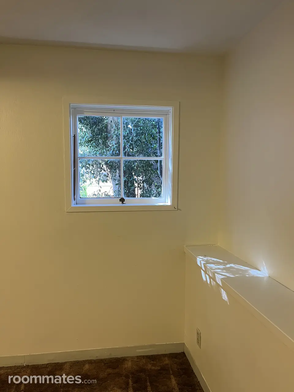 Profile photo 3 of 5