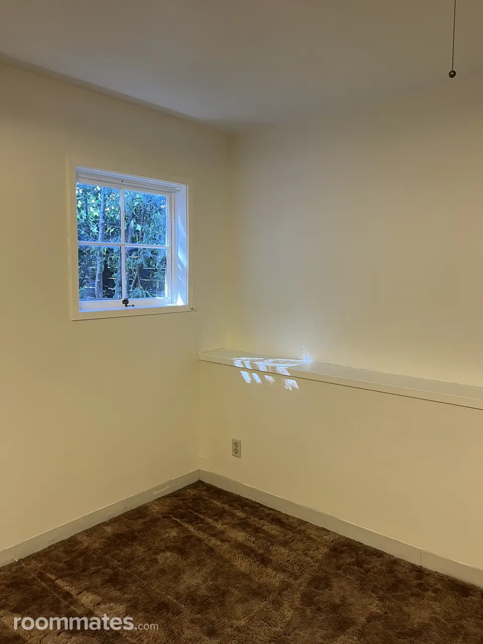 Profile photo 4 of 5