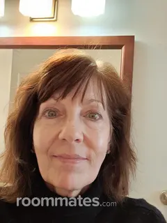 Roommate looking Minneapolis, MN, $1100