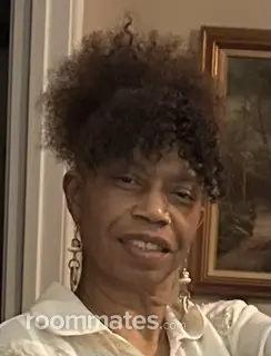 Roommate looking Canal Winchester, OH, $800