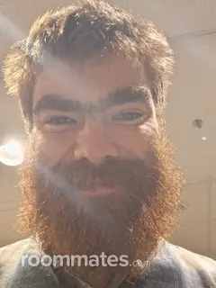 Roommate looking Greenville, SC, $700