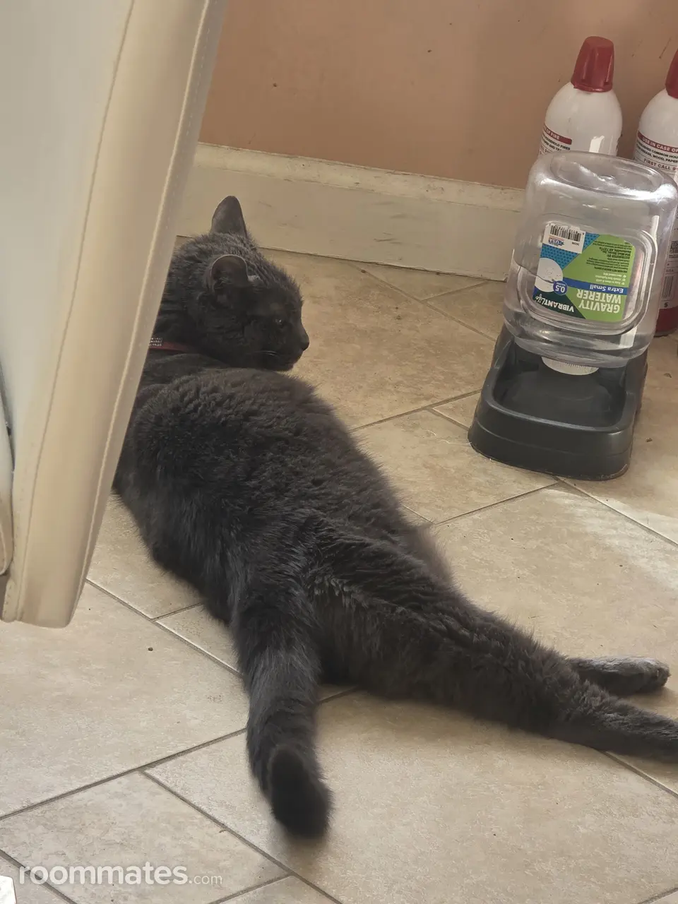 Profile photo 5 of 11