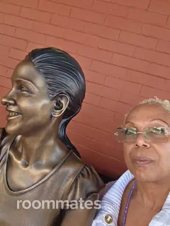 Roommate looking Alexandria, VA, $900