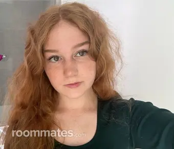 Roommate looking Brooklyn, NY, $1800