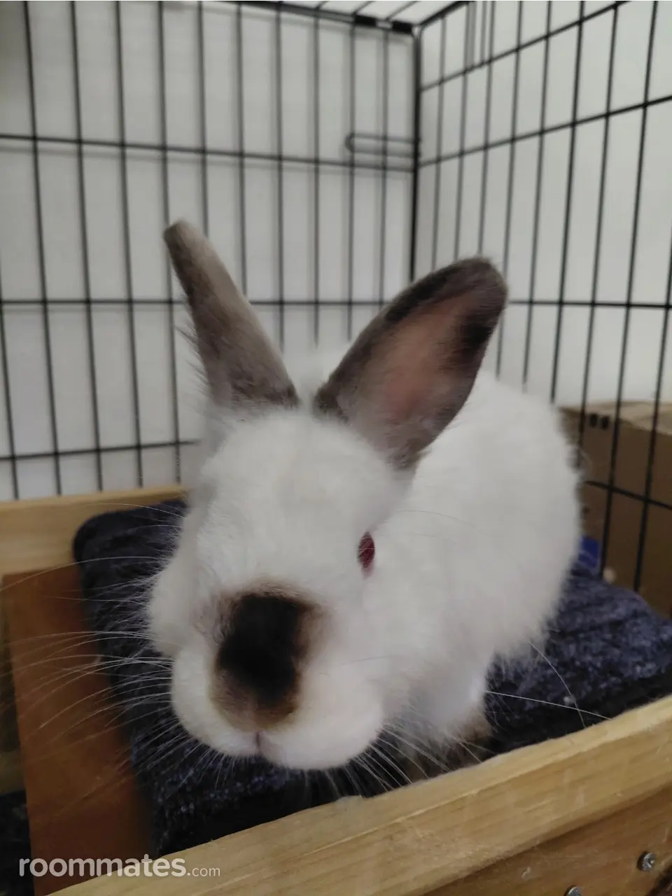 Profile photo 2 of 2