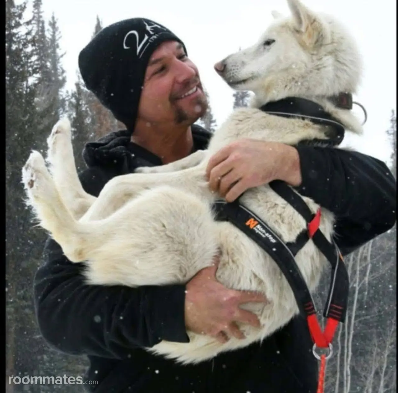 Profile photo 1 of 10