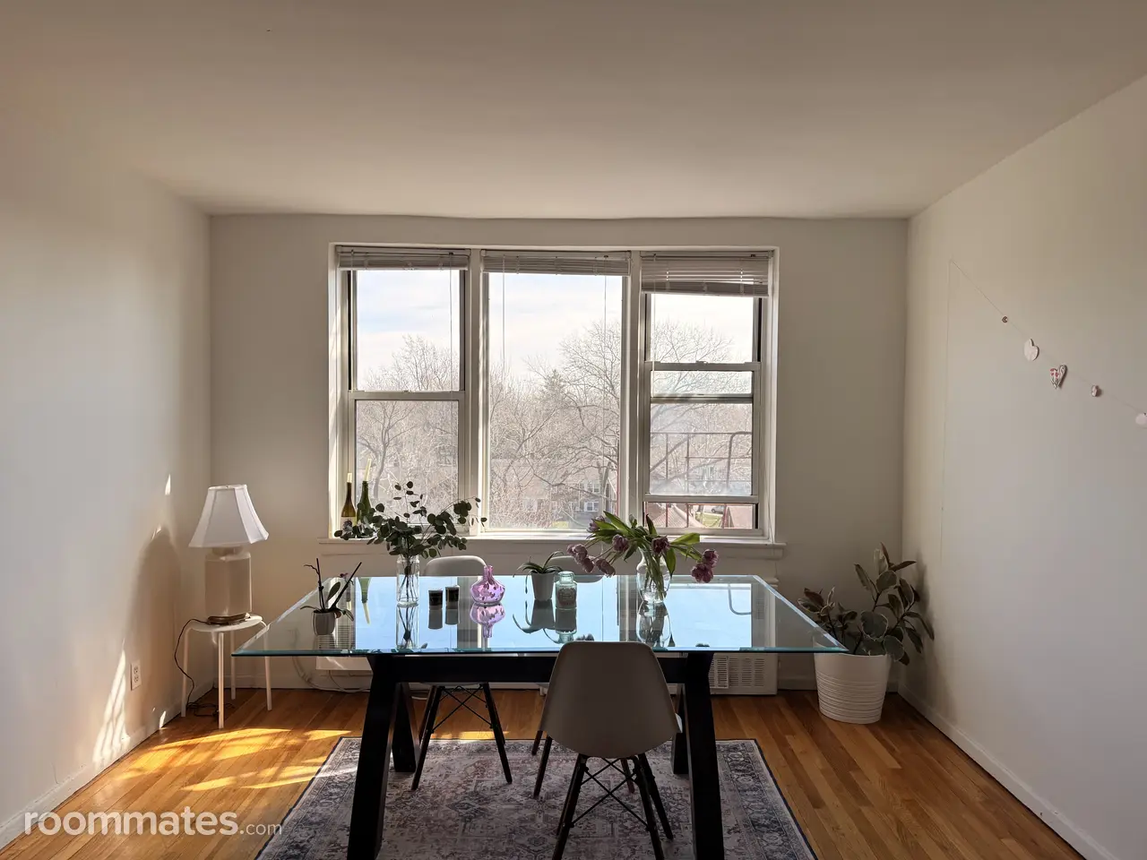 Profile photo 3 of 12