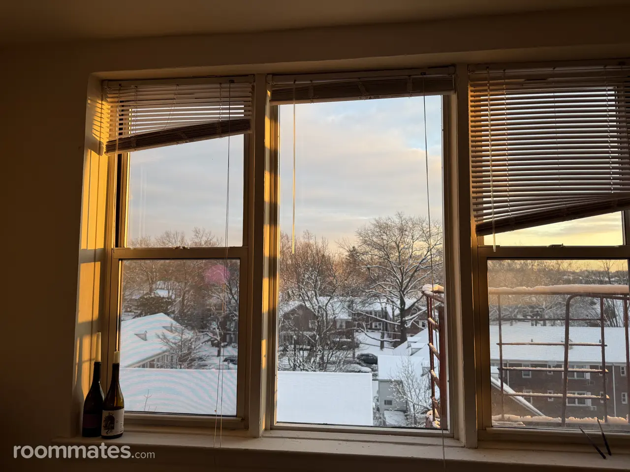 Profile photo 7 of 12