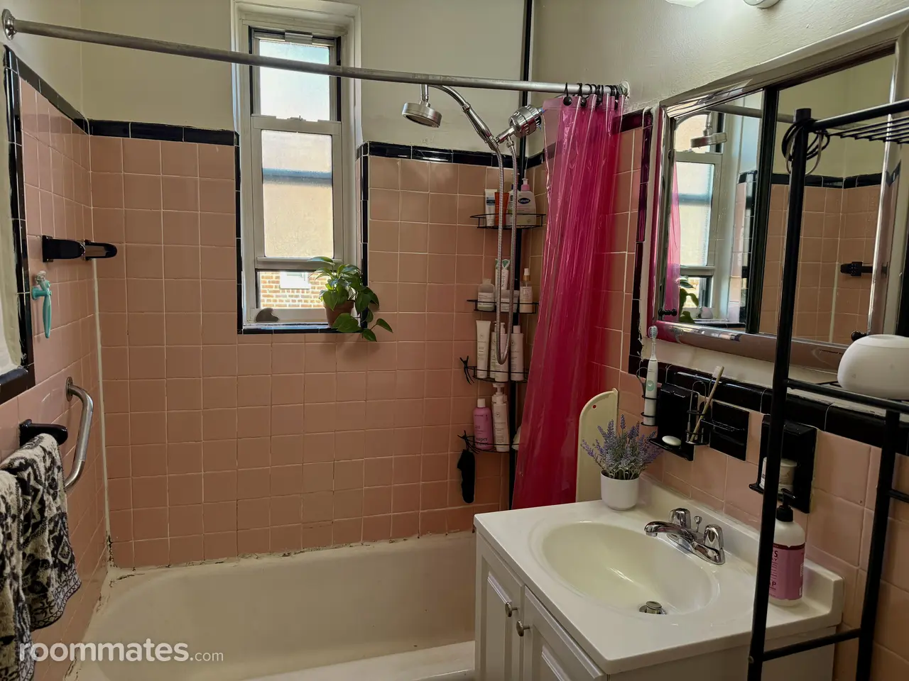 Profile photo 5 of 12