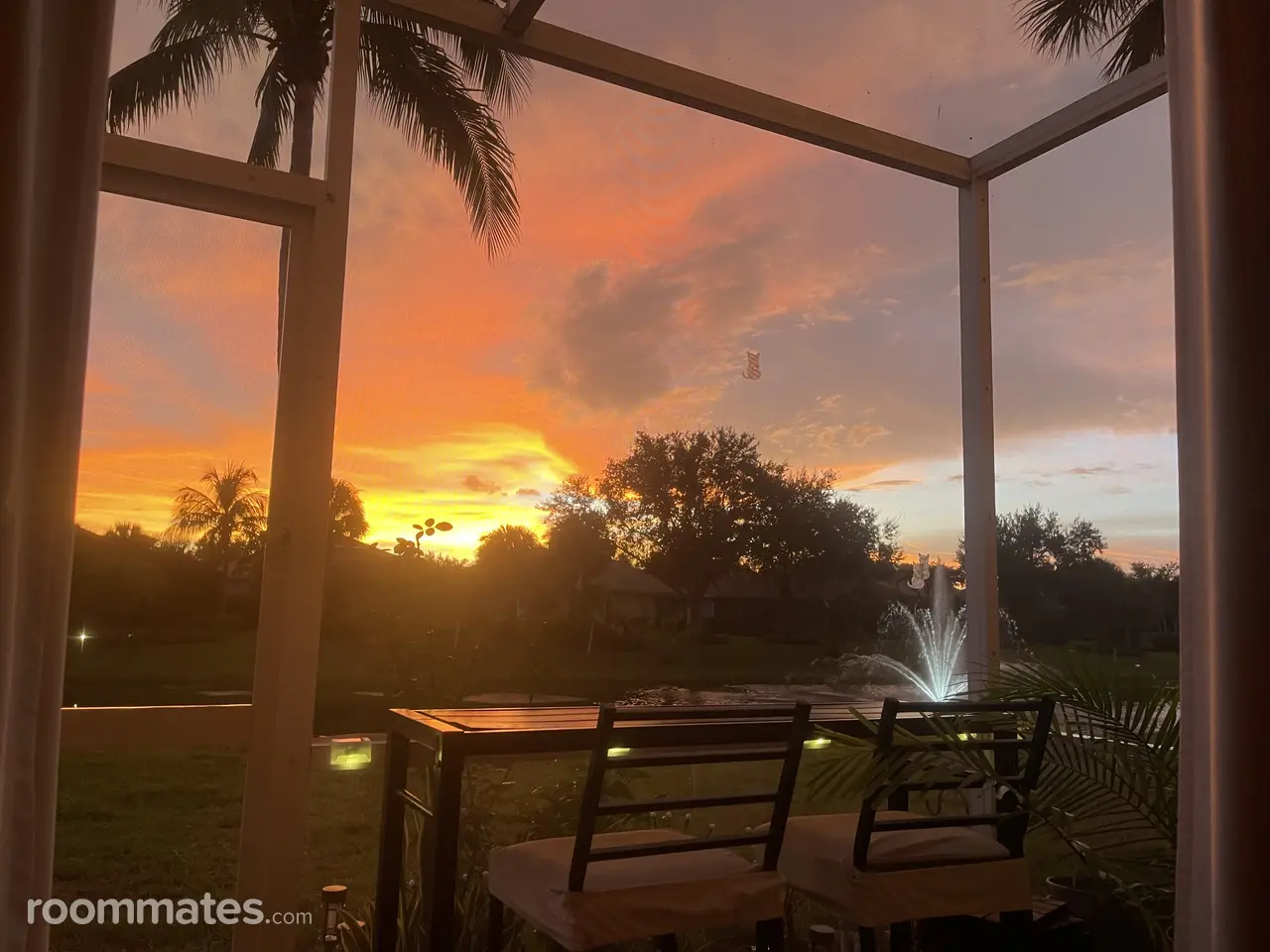 Profile photo 1 of 10