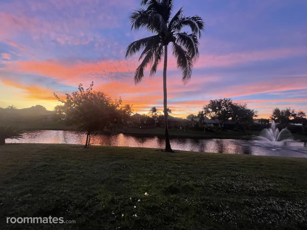 Profile photo 8 of 10