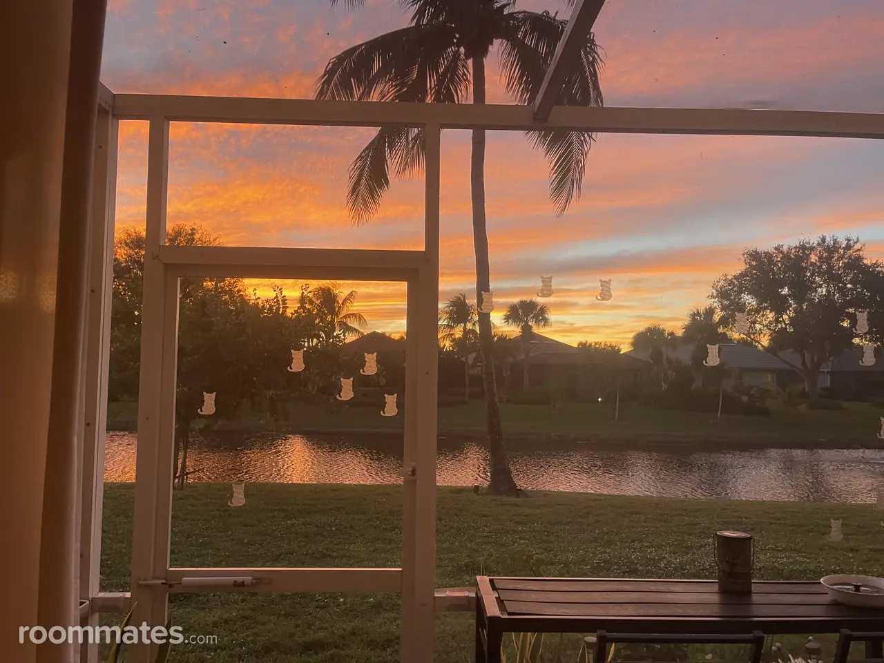 Profile photo 9 of 10