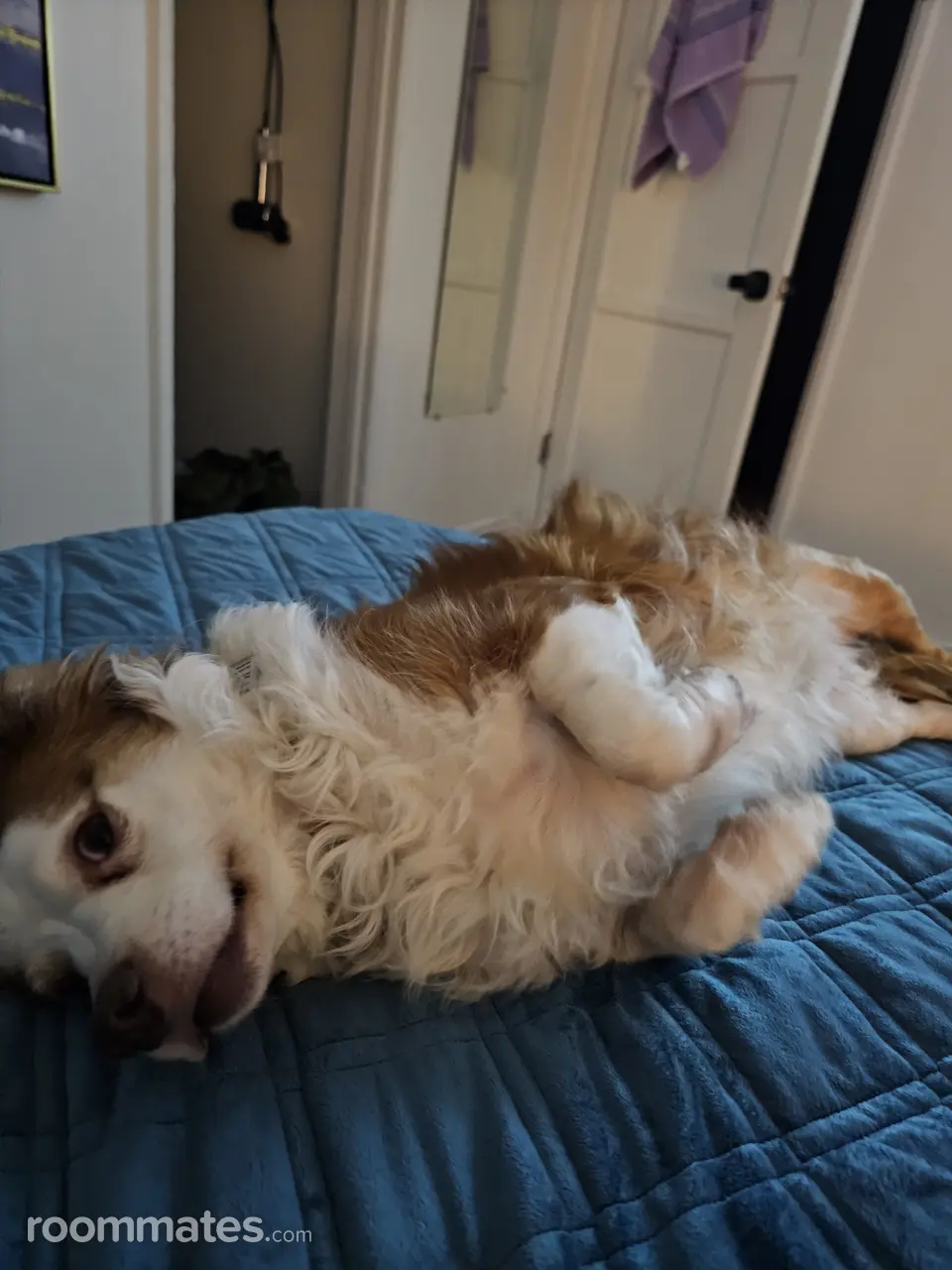 Profile photo 12 of 15