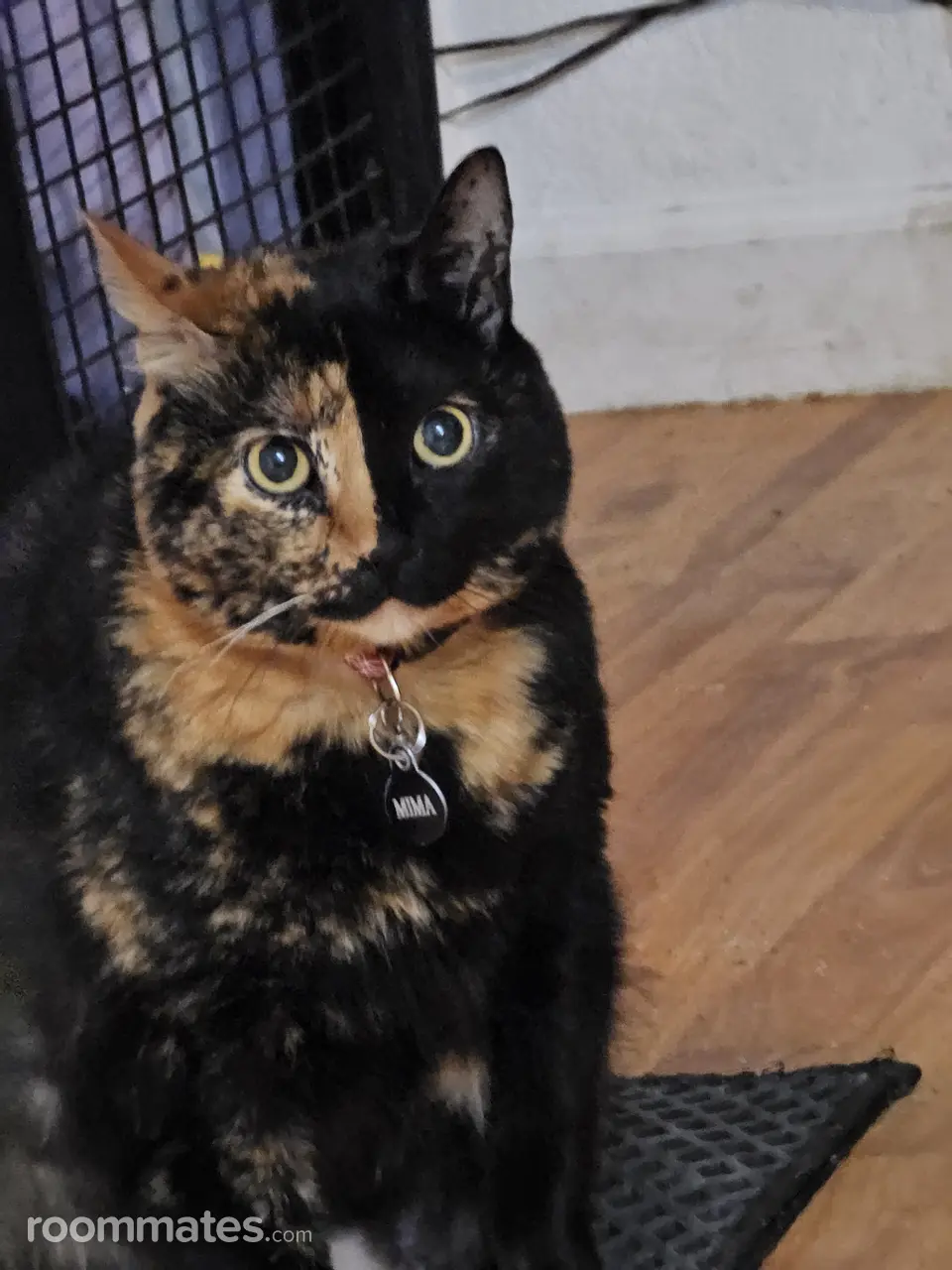 Profile photo 14 of 15