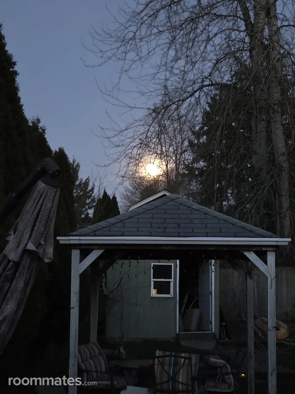 Profile photo 1 of 4